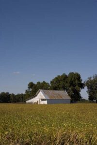 Leaving the City for a Country Homestead in South Carolina Image